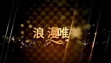 粒子光斑金色光边装饰优雅图文展示AE模板视频的预览图